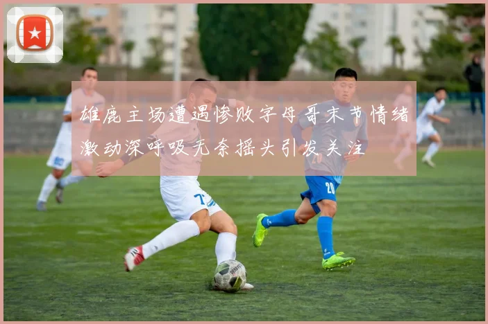 雄鹿主场遭遇惨败字母哥末节情绪激动深呼吸无奈摇头引发关注