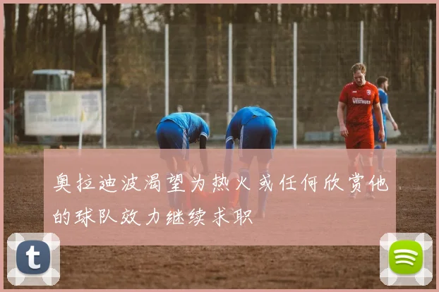奥拉迪波渴望为热火或任何欣赏他的球队效力继续求职